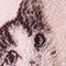 Pink Cat Tapestry