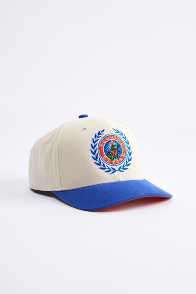 Mitchell & Ness NCAA University Of Florida Collegiate Pro Vintage Snapback  Hat | Urban Outfitters