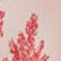 Frog Toile