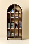 Camille Arched Glass Paned Storage Cabinet