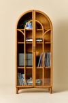 Camille Arched Glass Paned Storage Cabinet