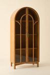 Camille Arched Glass Paned Storage Cabinet