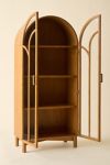 Camille Arched Glass Paned Storage Cabinet