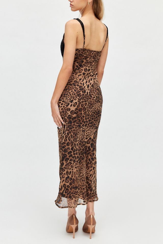 Kiss The Sky Moss Lace & Leopard Print Midi Dress #4