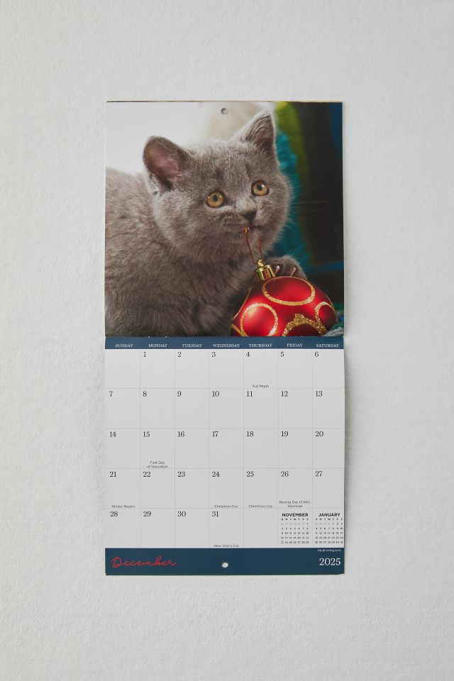 Kittens 2025 Mini Wall Calendar #1