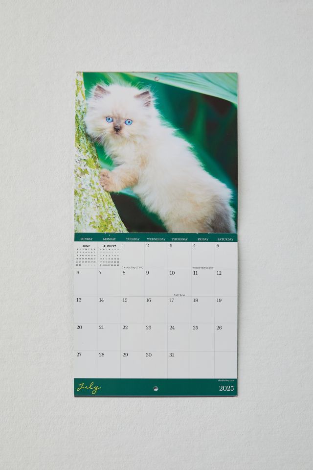 Kittens 2025 Mini Wall Calendar #2