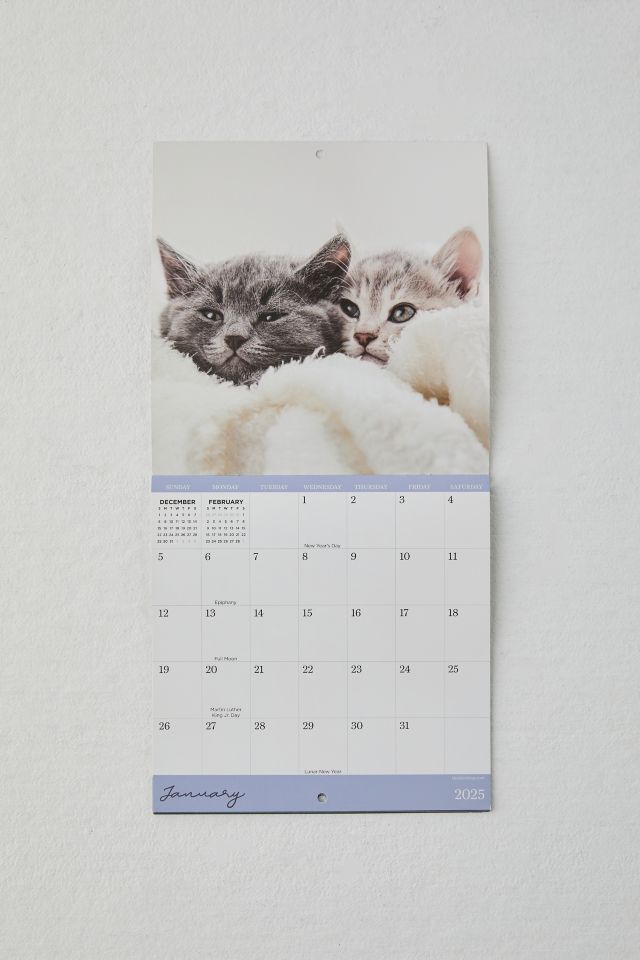 Kittens 2025 Mini Wall Calendar #3