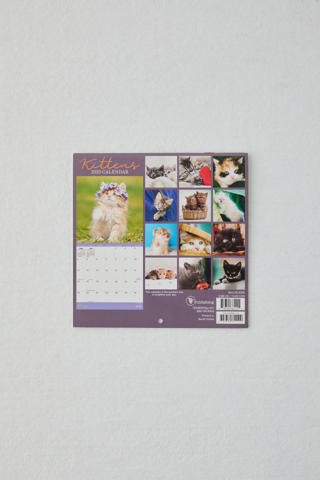 Kittens 2025 Mini Wall Calendar #4