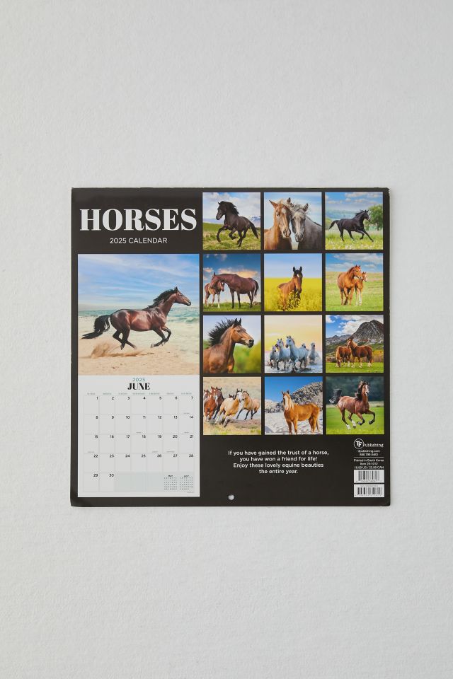 Horses 2025 Wall Calendar #4