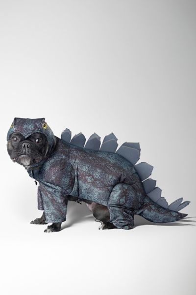 Dinosaur Pet Costume