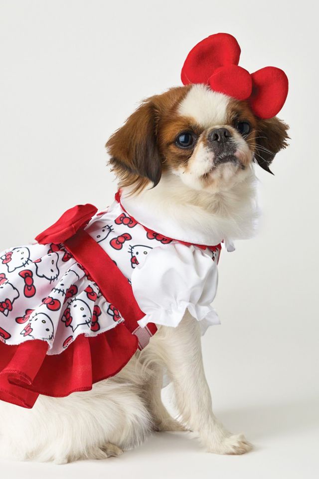 Sanrio Hello Kitty Pet Costume #1