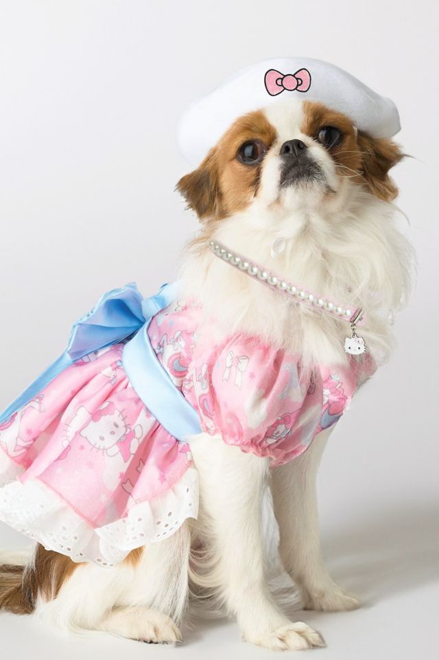 Sanrio Hello Kitty Pet Costume #1