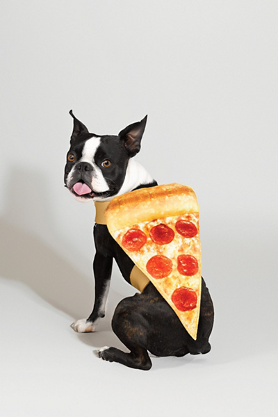 Funworld Pizza Pet Costume in Red at Urban Outfitters