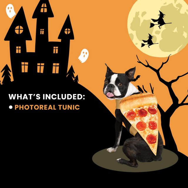 Pizza Pet Costume #2