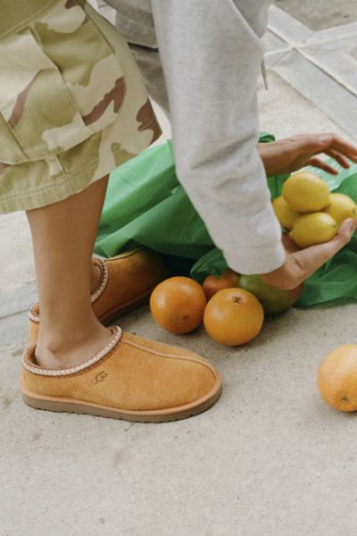 UGG Tasman shaggy suede mule アグ UGG® Tasman Shaggy Suede for Men | UGG®