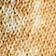 Large Scale Leopard