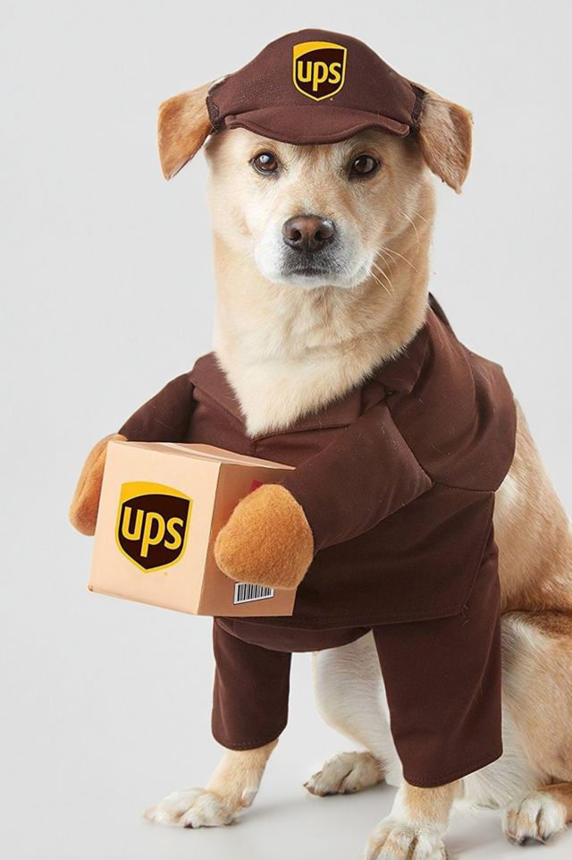 UPS Delivery Pet Costume #1