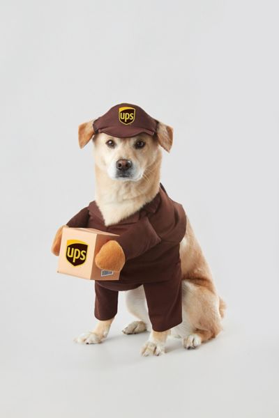 UPS Delivery Pet Costume