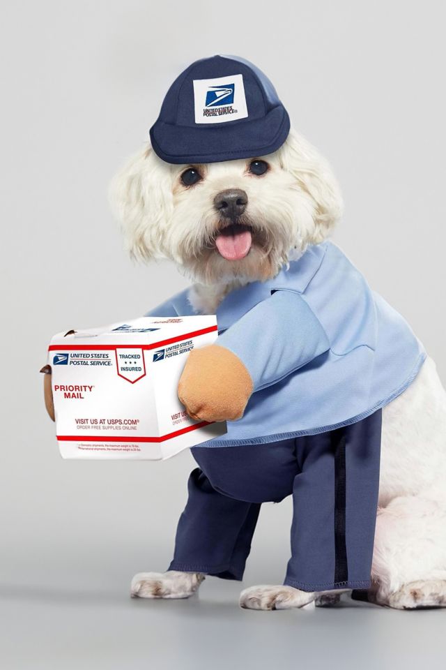 Mail Carrier Pet Halloween Costume | Urban Outfitters