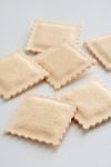 Fred & Friends Spongioli Ravioli Sponge Set