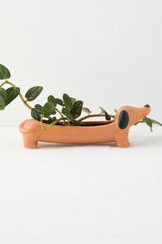 Daisy The Dachshund Planter #2