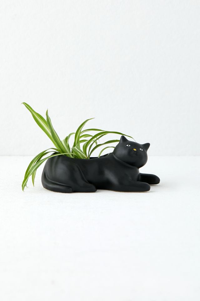 Black Cat Planter #2