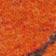 Orange Camo