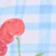 Gingham Fruit