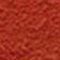 Red Fire-Dark Poppy