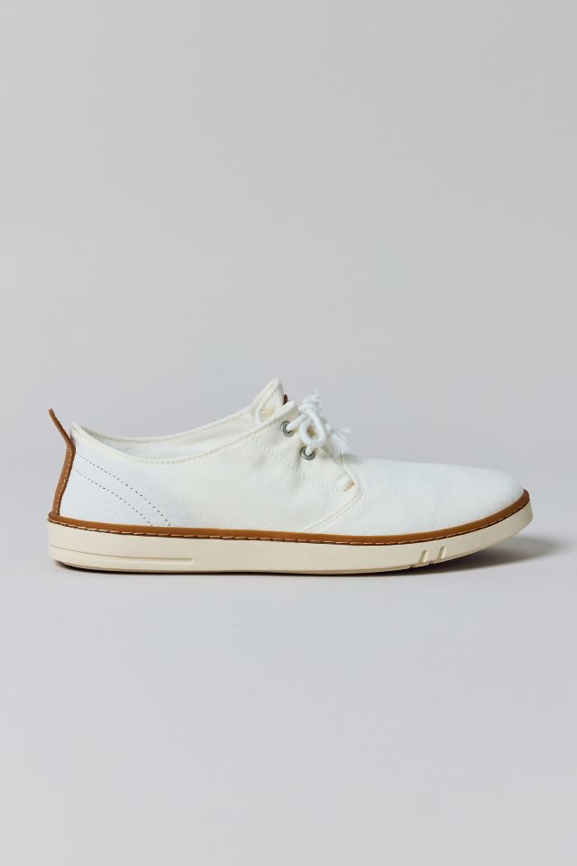 Timberland Men's Hookset Canvas Sneaker #1