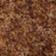 Toffee/Natural Shearling