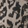 Brown Leopard
