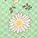 Cross Hatch Daisies Green