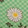 Cross Hatch Daisies Green