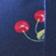 Navy Cherry