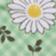 Cross Hatch Daisies Green
