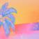 Sunset Universe