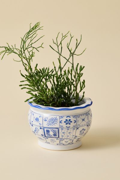 Unique Planters + Vases