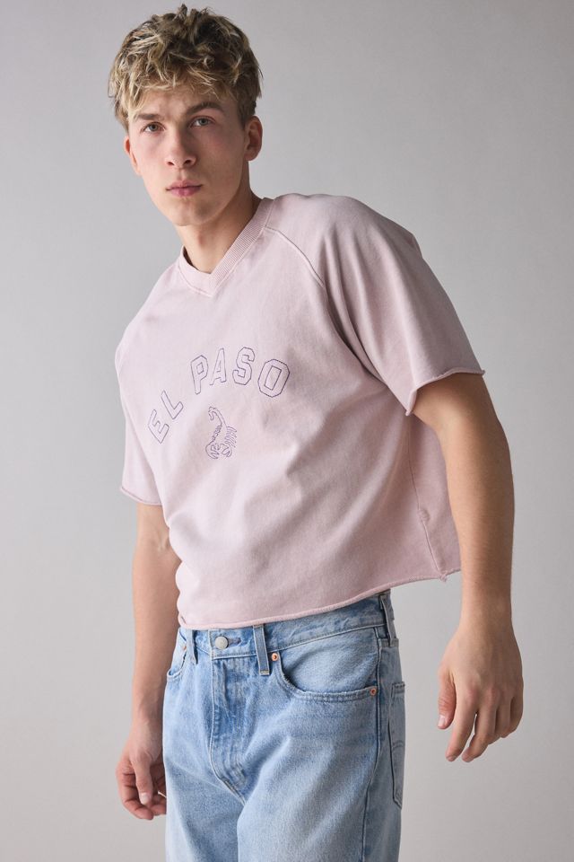 BDG Perry Embroidered Cropped Raglan Short Sleeve Sweatshirt #1