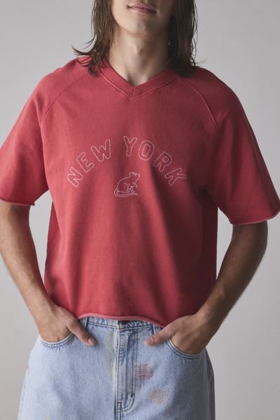BDG PERRY EMBROIDERED CROPPED RAGLAN SHORT SLEEVE SWEATSHIRT IN RED, MEN'S AT URBAN OUTFITTERS 