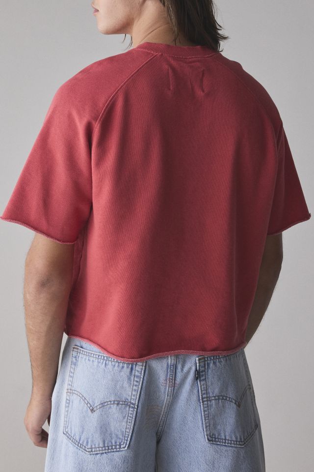 BDG Perry Embroidered Cropped Short Sleeve Sweatshirt