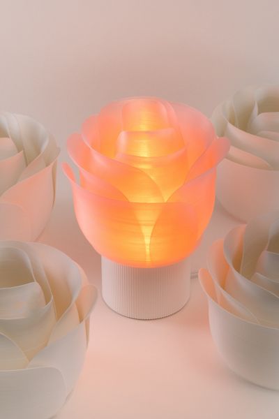 Honey & Ivy Rose Table Lamp