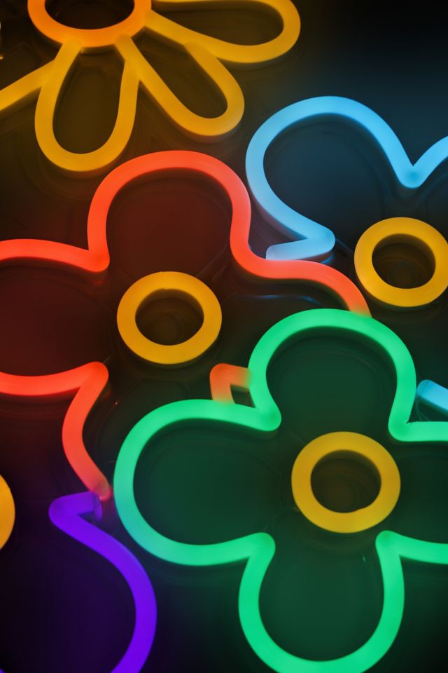 Echo Neon Daisy and Flower Neon Sign #1
