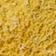 Dark Yellow