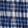 Navy Check