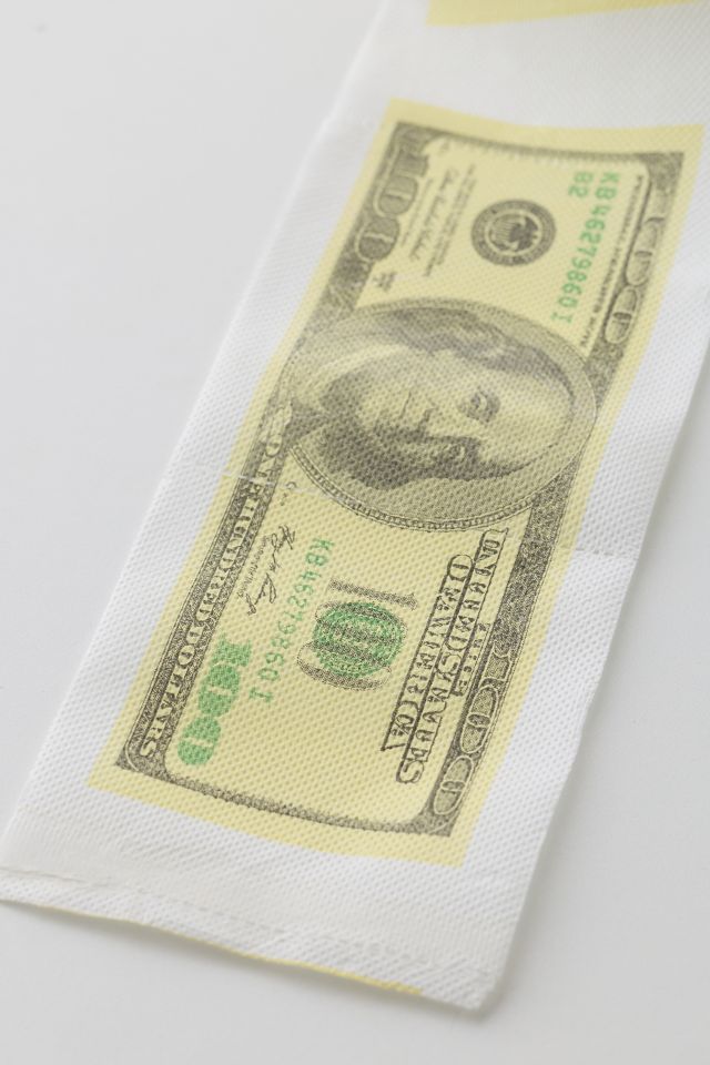 Money Toilet Paper #1