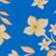 Blue Multi