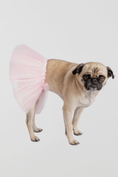 Silver Paw Pink Tutu Dog Costume
