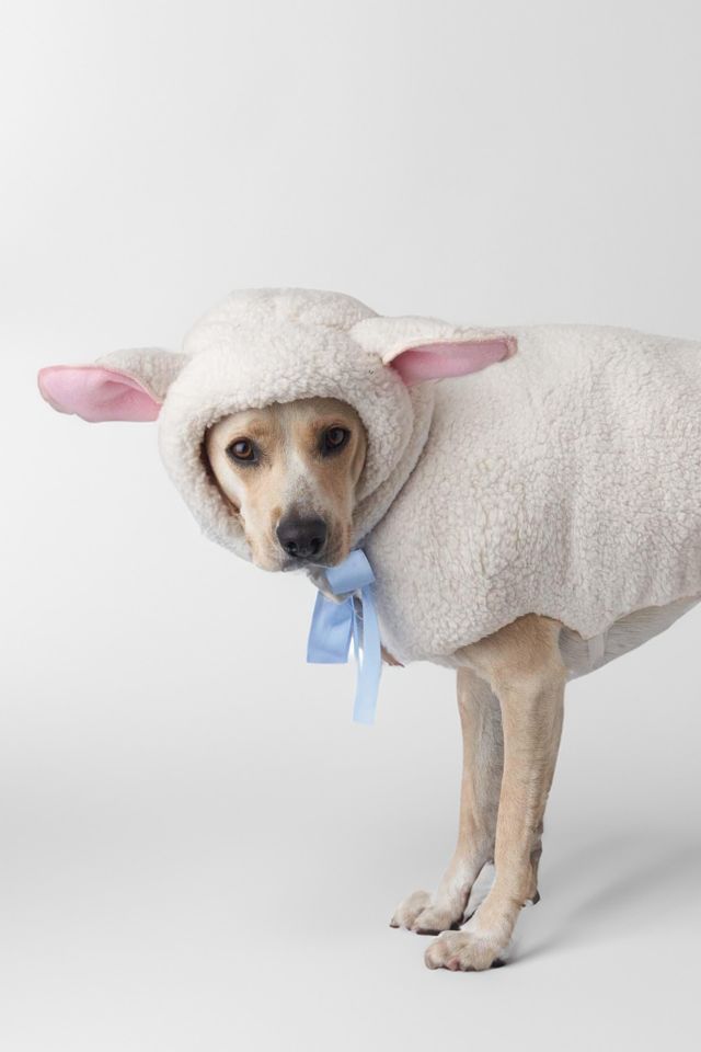 Sheep Halloween Pet Costume #1