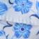 White Blue Floral